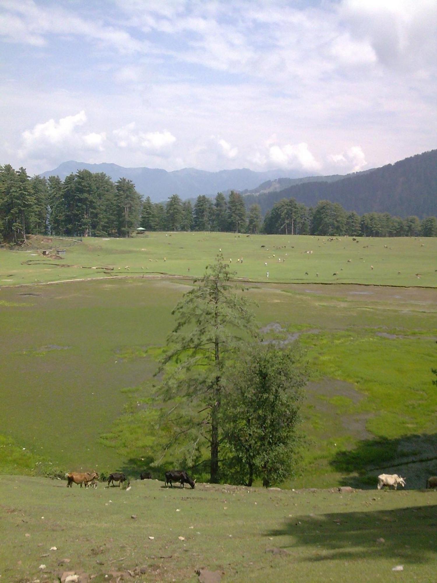 Vardaan Hotels - Patnitop Exterior photo